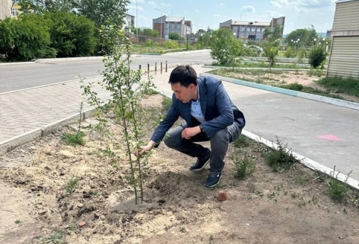 "Жители сами определили участок, управляющая компания подвела воду для полива". В посёлке Энергетик высадили яблони "Жители сами определили участок, управляющая компания подвела воду для полива". В посёлке Энергетик высадили яблони